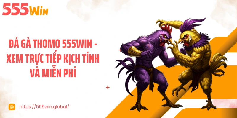 Đá Gà Thomo 555WIN - Xem Trực Tiếp Kịch Tính Và Miễn Phí