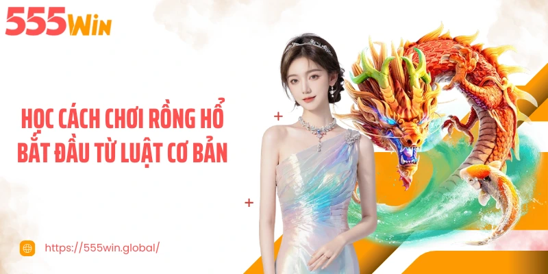 Học cách chơi rồng hổ bắt đầu từ luật cơ bản