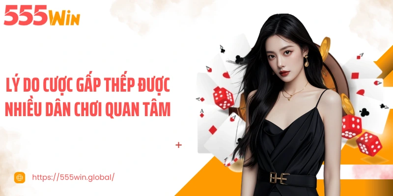 Lý do cược gấp thếp được nhiều dân chơi quan tâm